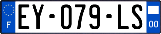 EY-079-LS