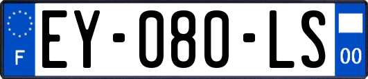 EY-080-LS