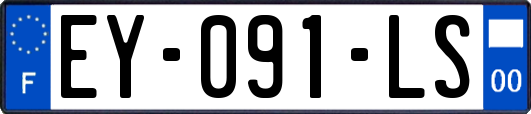 EY-091-LS