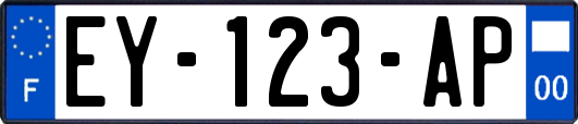 EY-123-AP