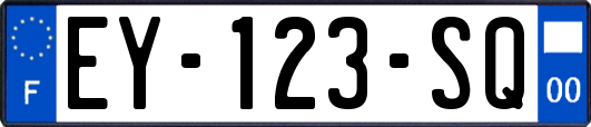 EY-123-SQ