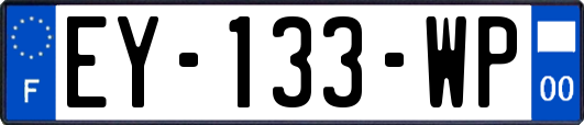 EY-133-WP