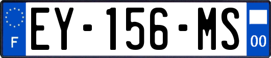 EY-156-MS