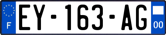 EY-163-AG