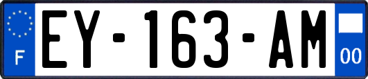 EY-163-AM