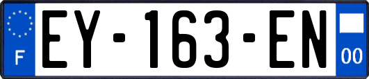 EY-163-EN