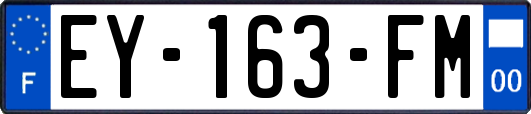 EY-163-FM