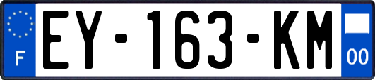 EY-163-KM