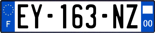 EY-163-NZ