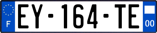 EY-164-TE