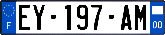 EY-197-AM