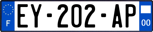 EY-202-AP