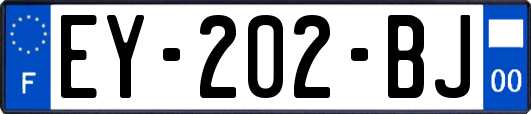EY-202-BJ