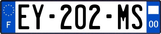 EY-202-MS