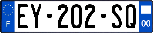 EY-202-SQ