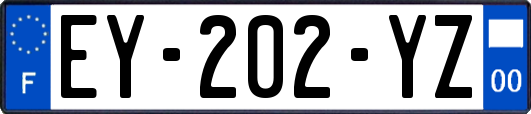 EY-202-YZ