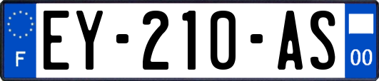 EY-210-AS