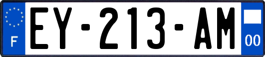 EY-213-AM