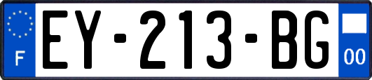 EY-213-BG