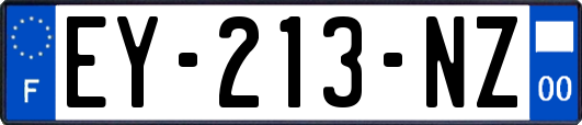 EY-213-NZ