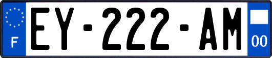 EY-222-AM