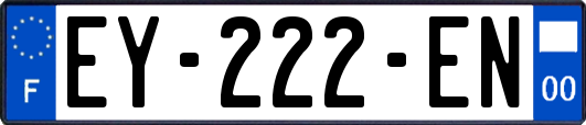 EY-222-EN