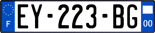 EY-223-BG