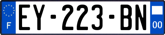 EY-223-BN