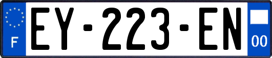 EY-223-EN