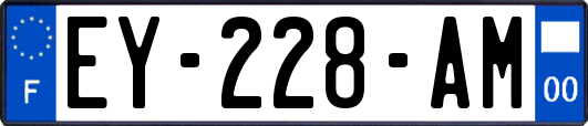 EY-228-AM