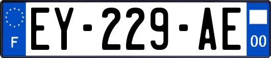 EY-229-AE