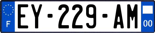 EY-229-AM