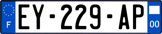 EY-229-AP