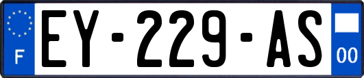 EY-229-AS