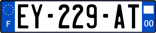 EY-229-AT