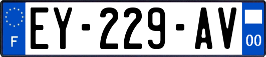 EY-229-AV