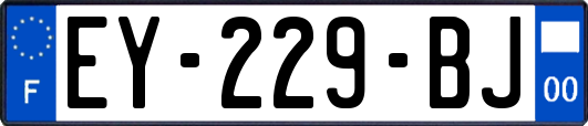 EY-229-BJ