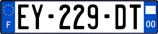 EY-229-DT