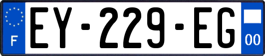 EY-229-EG