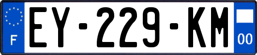 EY-229-KM