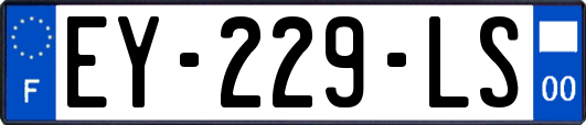 EY-229-LS