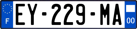 EY-229-MA