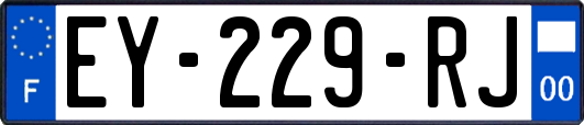 EY-229-RJ