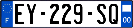 EY-229-SQ