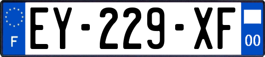 EY-229-XF