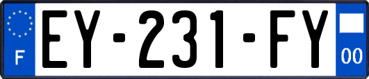 EY-231-FY