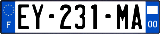 EY-231-MA