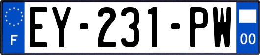 EY-231-PW