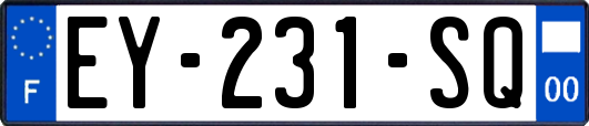 EY-231-SQ