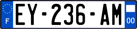 EY-236-AM